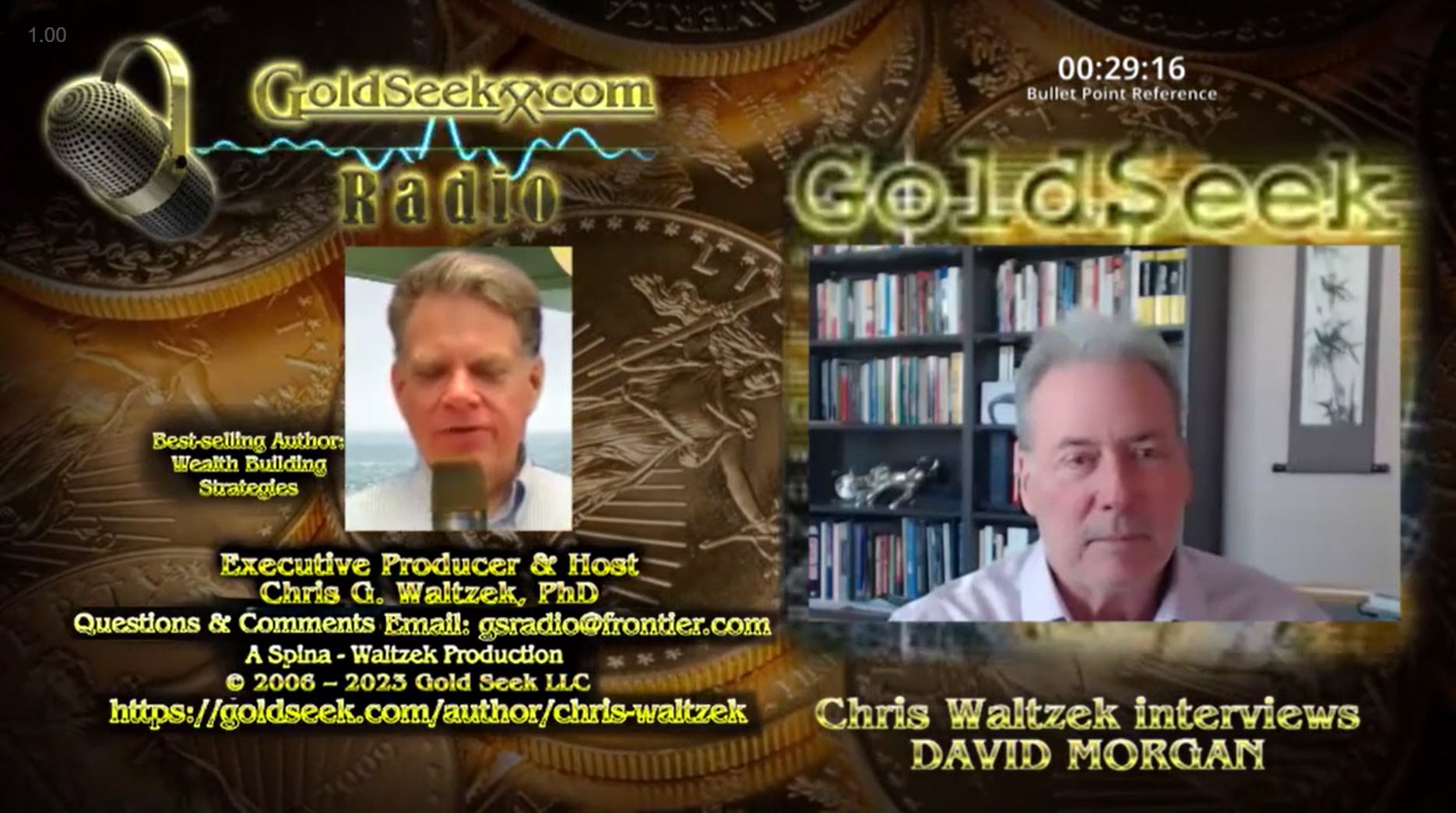 GoldSeek Radio Nugget David Morgan Gold And Silver Will Hold Some